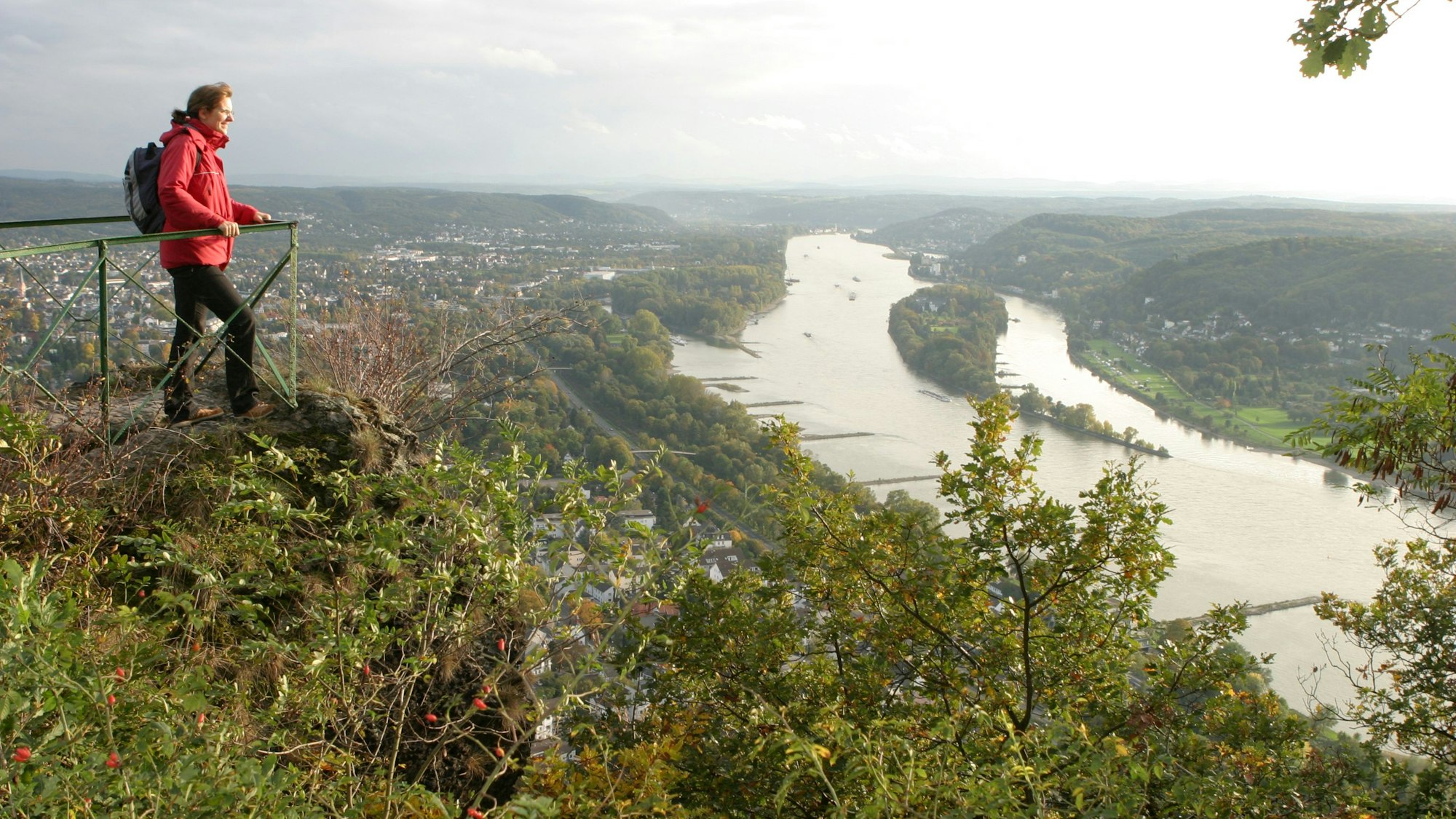 Eine Frau schaut von einer Aussichtskanzel am Drachenfels auf den Rhein im Tal.