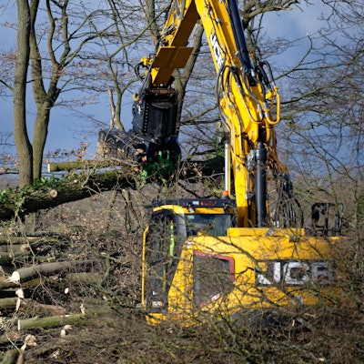 Ein Bagger hebt gefällte Bäume am Rand eines Waldstücks auf einen Stapel.