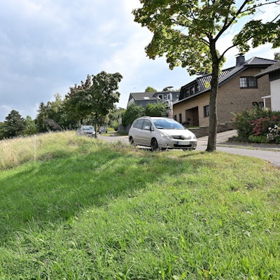 Das Foto zeigt eine Wiese am Ortsrand von Herkenrath