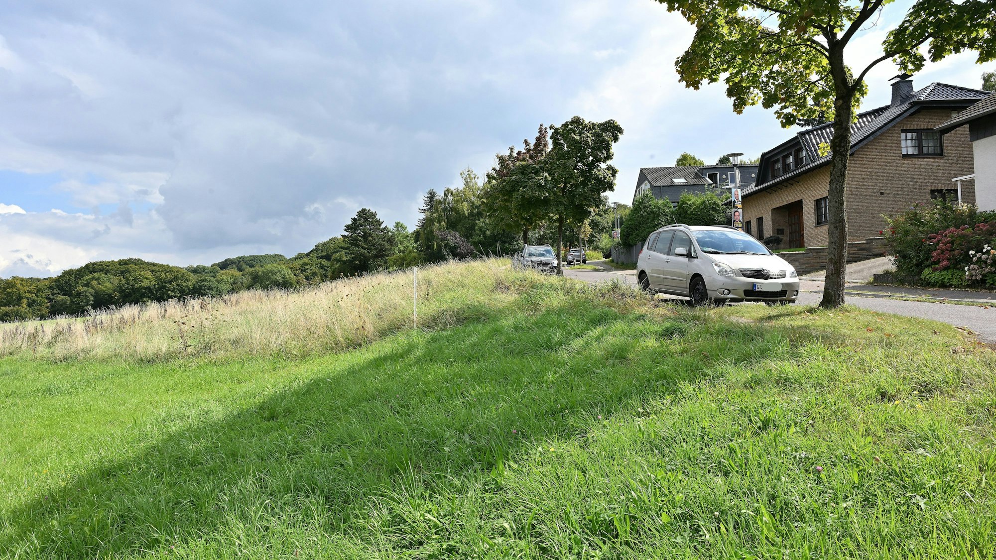 Das Foto zeigt eine Wiese am Ortsrand von Herkenrath