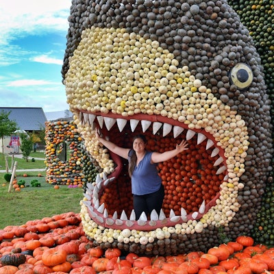 Das Bild zeigt den aus Kürbissen gestalteten Kopf eines Hais. Im aufgerissenen Maul kann ein Mensch locker stehen.