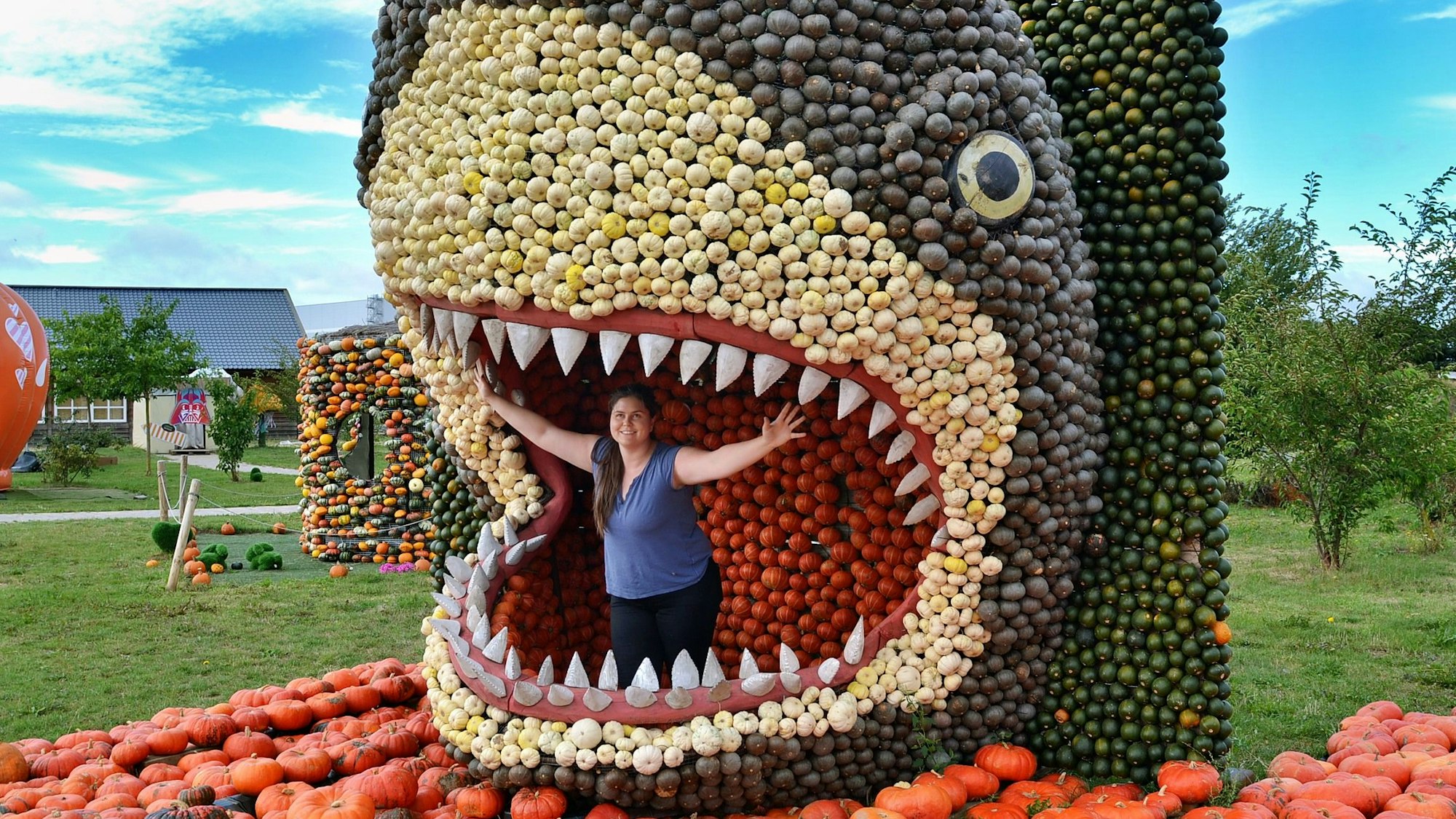 Das Bild zeigt den aus Kürbissen gestalteten Kopf eines Hais. Im aufgerissenen Maul kann ein Mensch locker stehen.