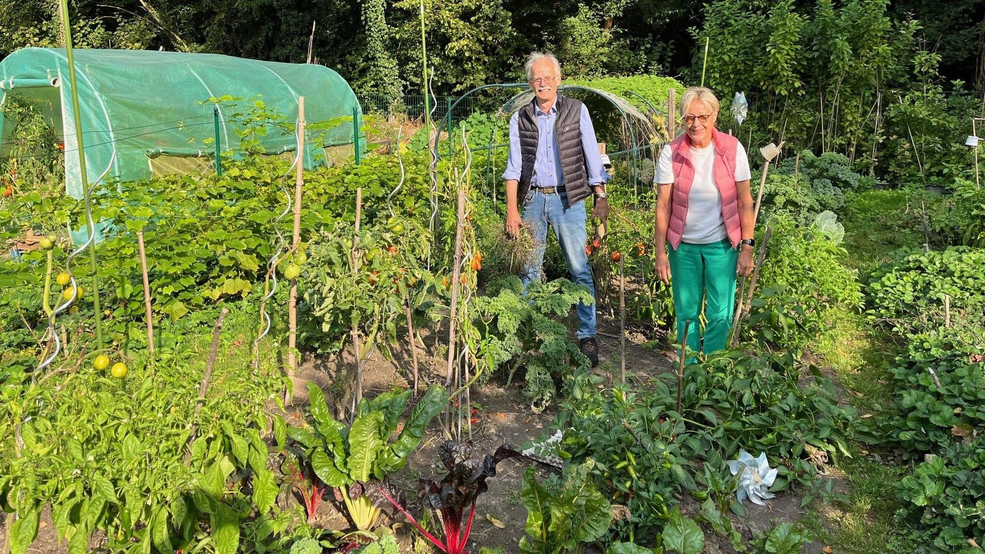 Buntstieliger Mangold und Edamamebohnen gehören zu den Raritäten, die Rolf Kiemes und Gabriele Wiemer anbauen