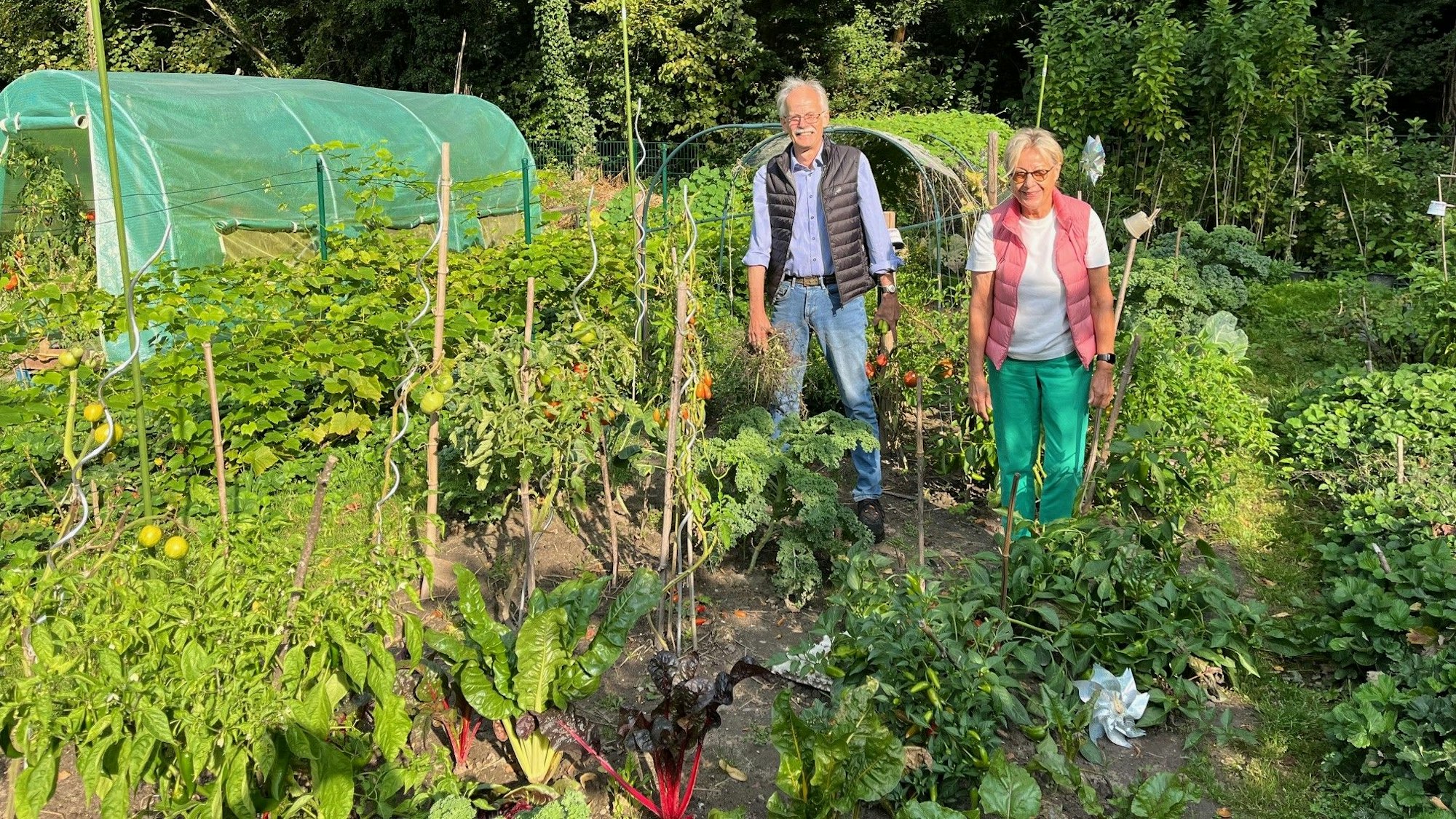 Buntstieliger Mangold und Edamamebohnen gehören zu den Raritäten, die Rolf Kiemes und Gabriele Wiemer anbauen