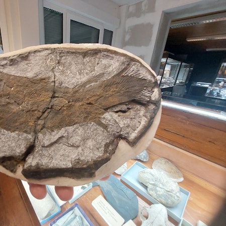 Aus der Grube Silberhardt in Windeck soll ein montanhistorisches Zentrum werden.