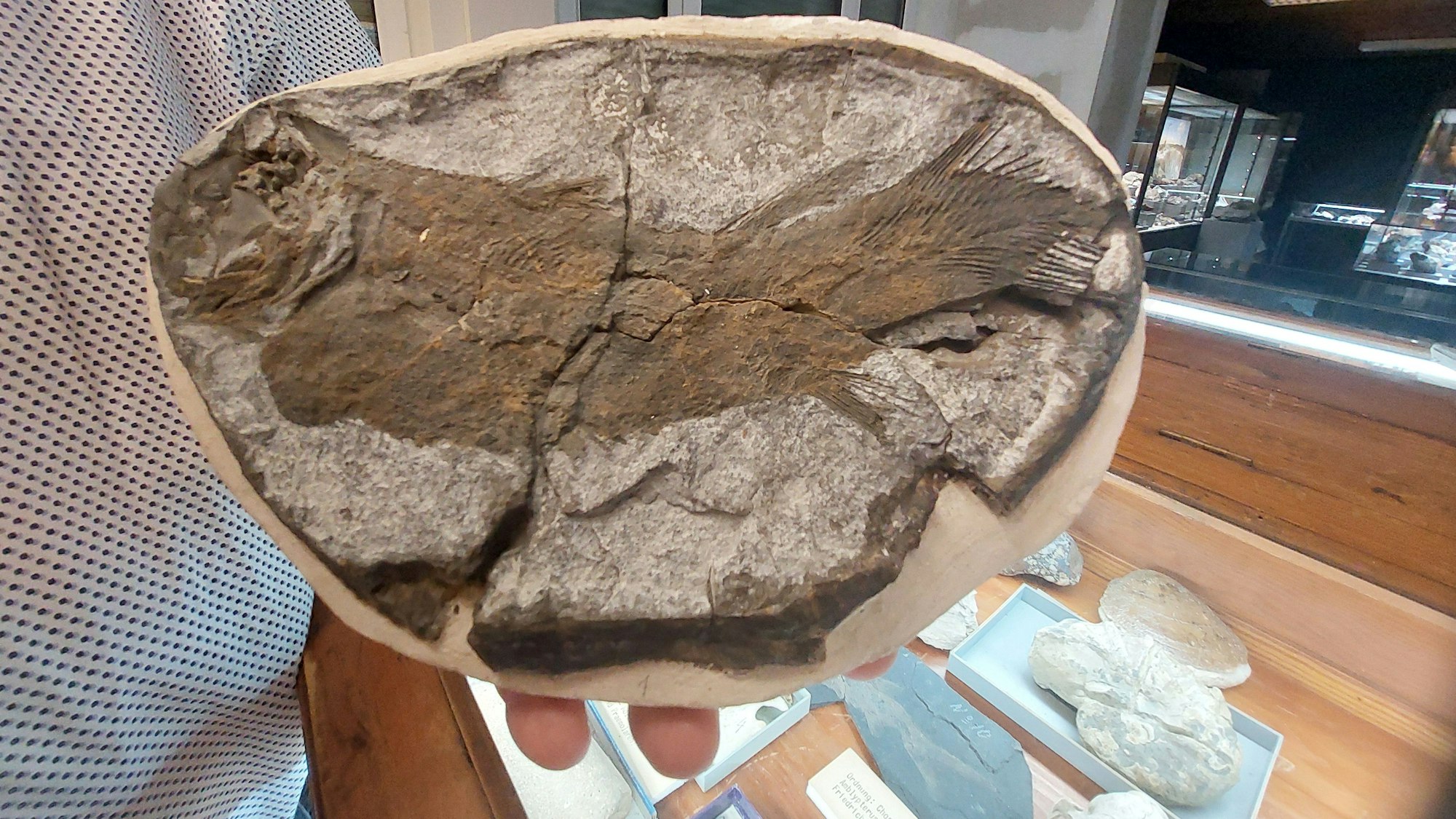 Aus der Grube Silberhardt in Windeck soll ein montanhistorisches Zentrum werden.