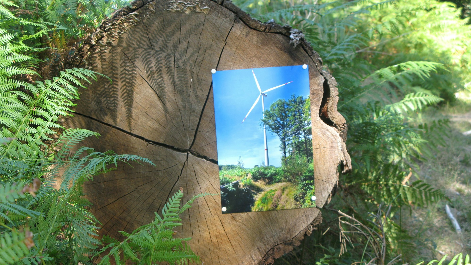 Am Wegesrand wurde mit diesem Bild eines Windrads auf die hoch umstrittene Windparkplanung in Waldgebieten angespielt.