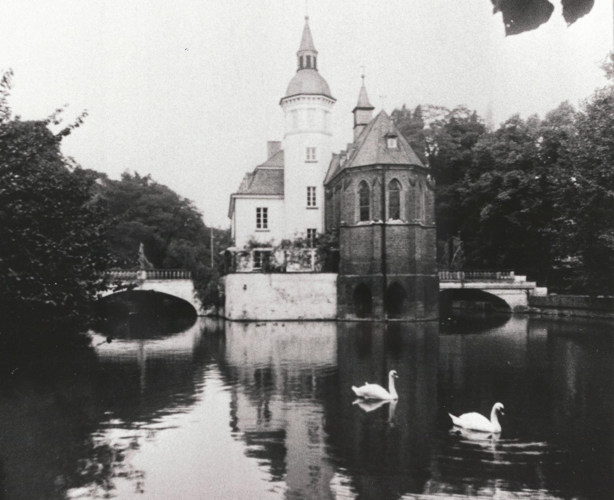 Zwei Schwäne im Wassergraben des Weisshauses in Köln-Sülz.
