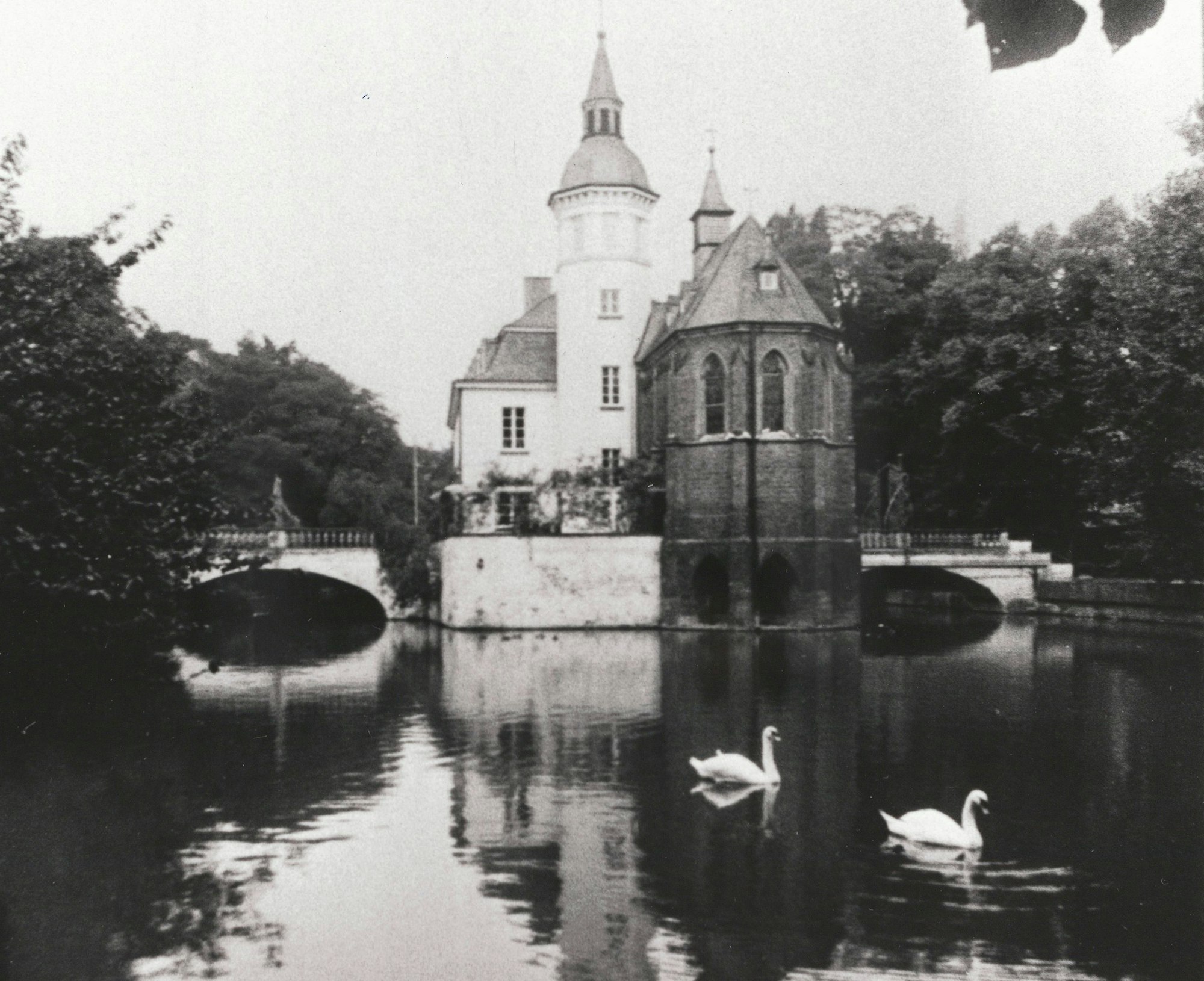 Zwei Schwäne im Wassergraben des Weisshauses in Köln-Sülz.
