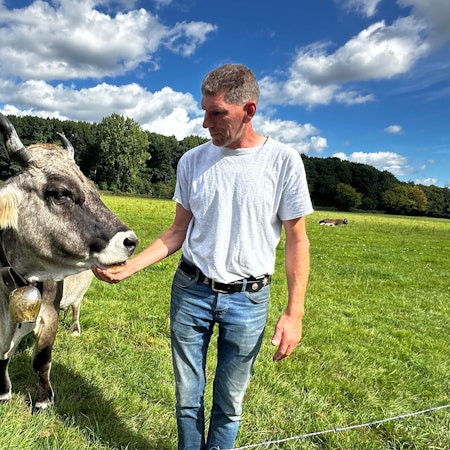 Ein Mann streichelt eine braune Kuh unter dem Kinn.