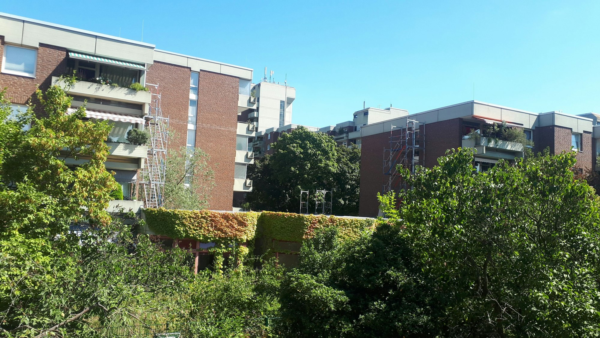 Ein Bungalow ist fast komplett zugewuchert von Efeu, dahinter sind mehrstöckige Wohnblocks zu sehen.