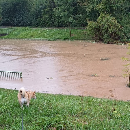 Die Erft verließ nach den starken Regenfällen an vielen Stellen ihr Bett und trat über die Ufer.