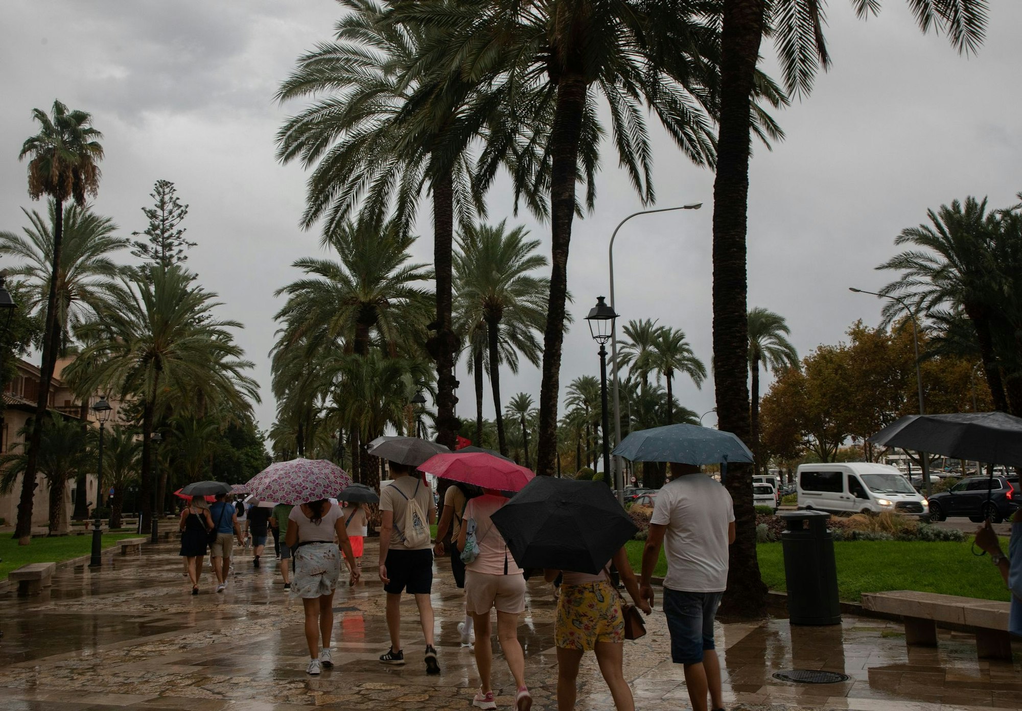 Kein Urlaubswetter auf Mallorca.