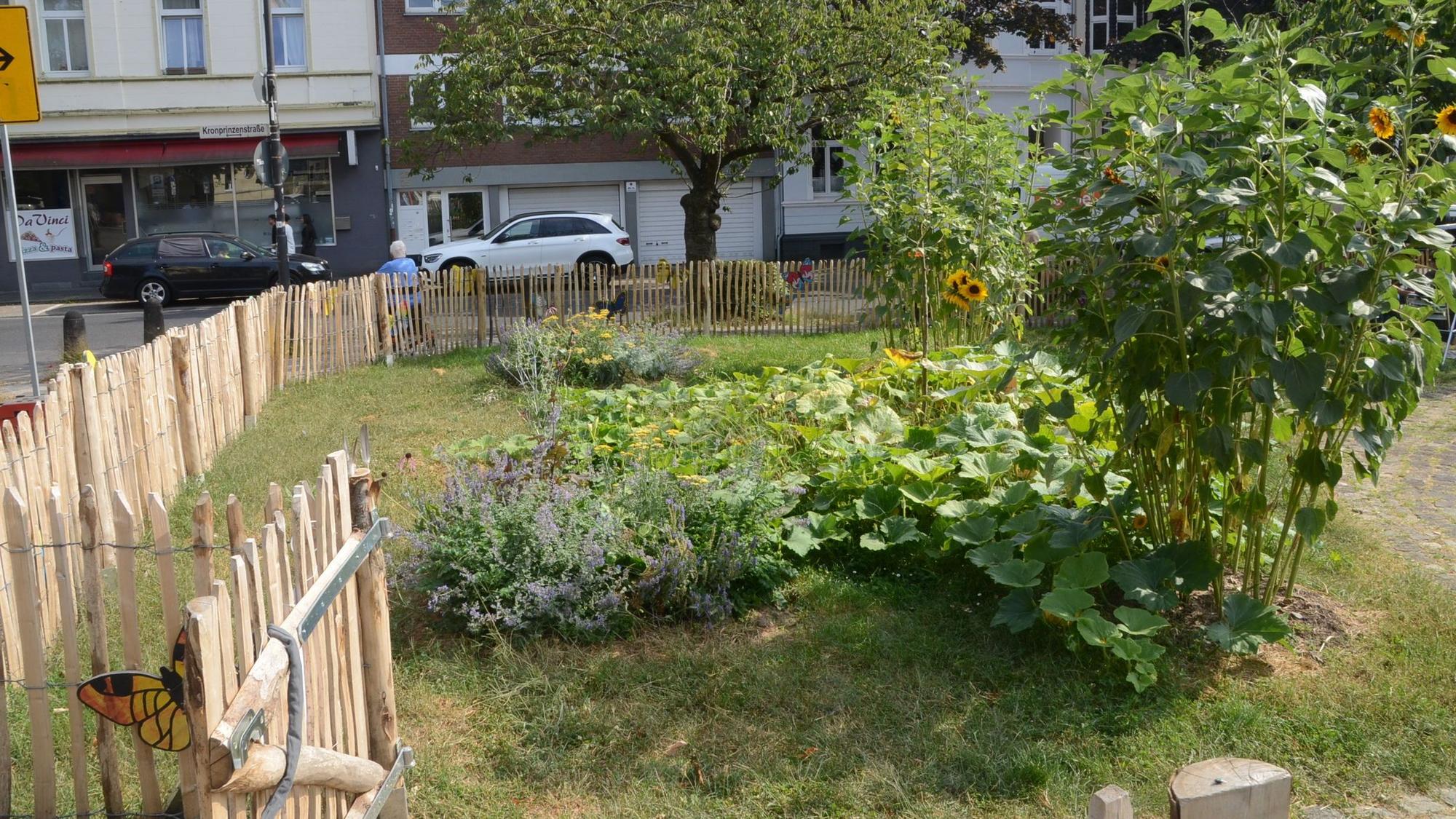 Zwischen dem evangelischen Gemeindehaus und der Johanneskirche an der Viktoriastraße entsteht ein temporärer Stadtgarten. Quartiersmanagerin Anna Swetik, Pfarrer Sebastian Schmidt, Koordinatorin Kerstin Kuffner und Mitgärtner Rofl Warnecke