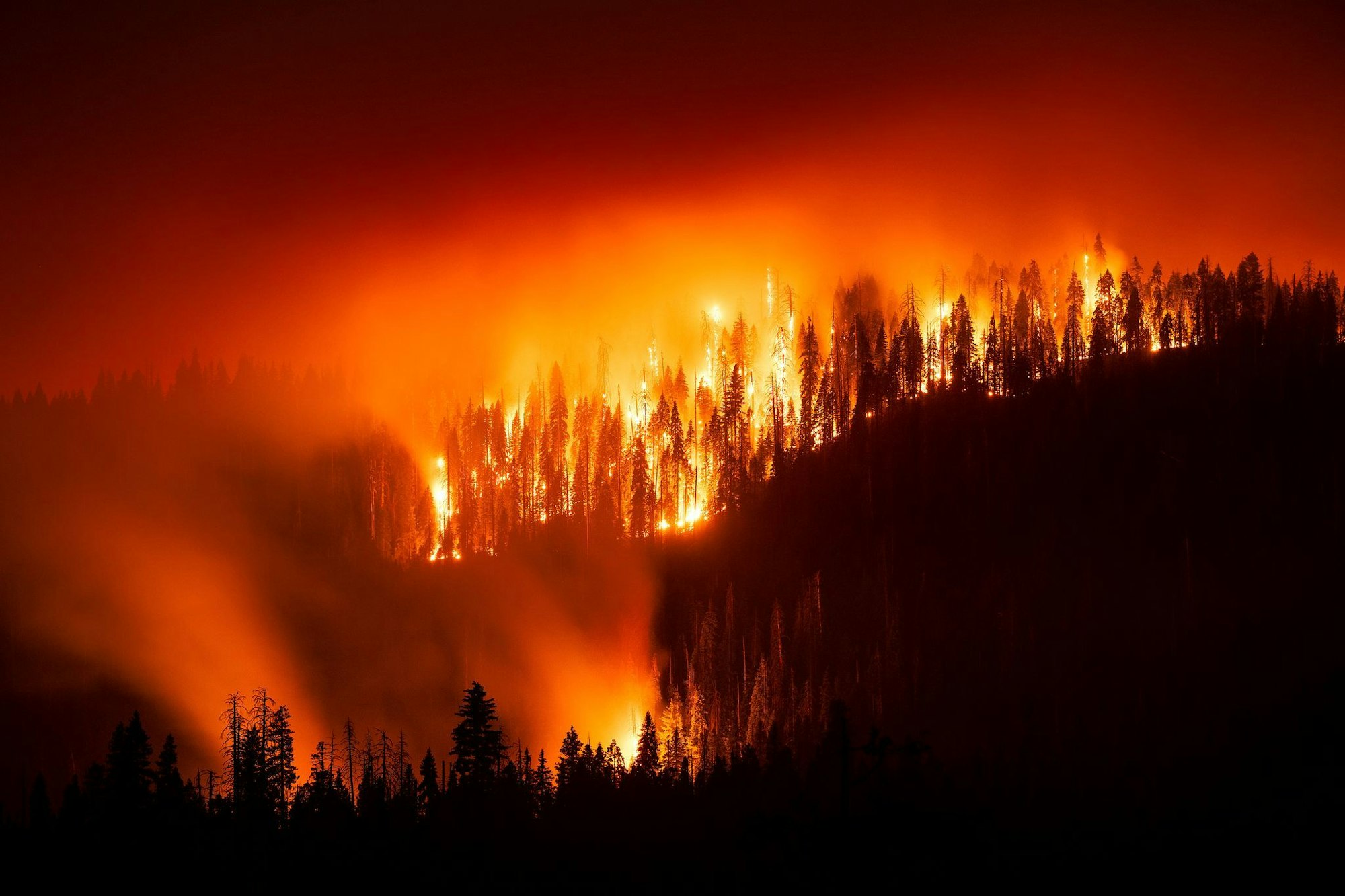 Das «Garnet Fire» bedroht Riesenmammutbäume im Waldgebiet McKinley Grove.