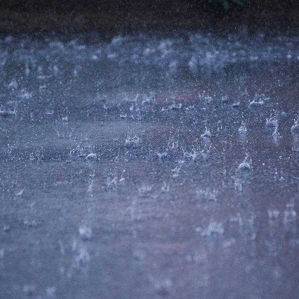 Regen auf dem Boden.