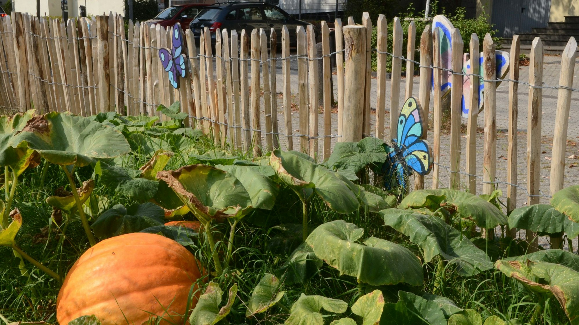 Zwischen dem evangelischen Gemeindehaus und der Johanneskirche an der Viktoriastraße entsteht ein temporärer Stadtgarten. Quartiersmanagerin Anna Swetik, Pfarrer Sebastian Schmidt, Koordinatorin Kerstin Kuffner und Mitgärtner Rofl Warnecke