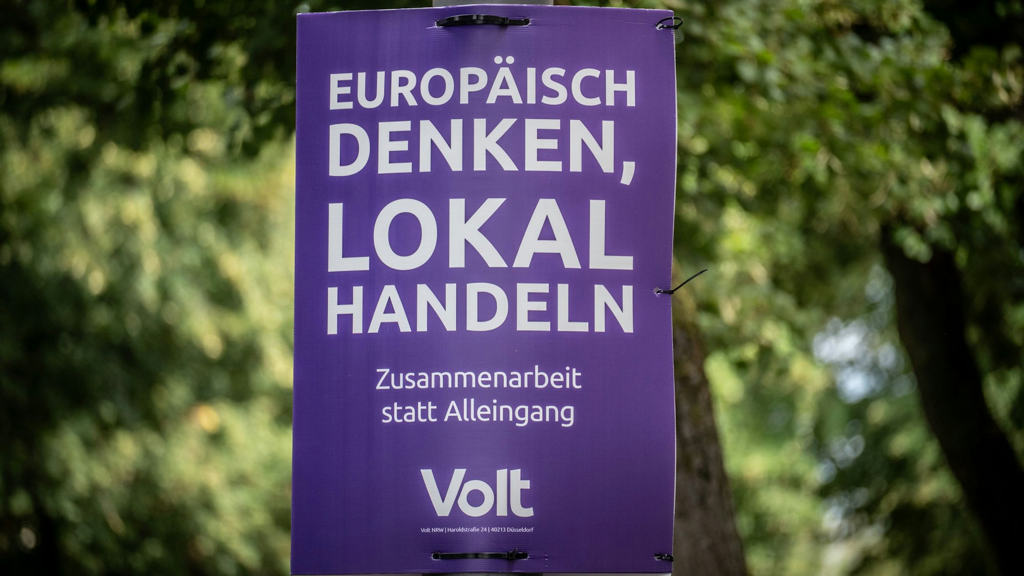 Volt setzt vor allem auf die Themen Bildung und Integration.