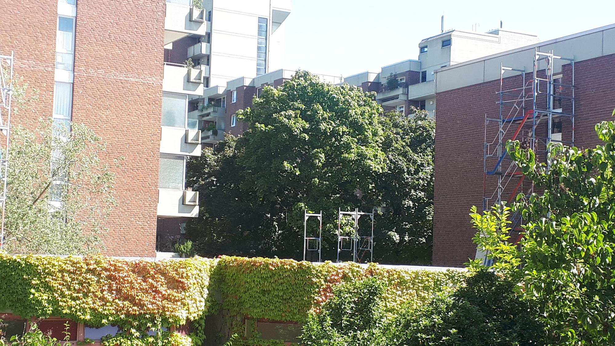 Mehrstöckige Wohnblocks stehen hinter einem zugerankten Bungalow.