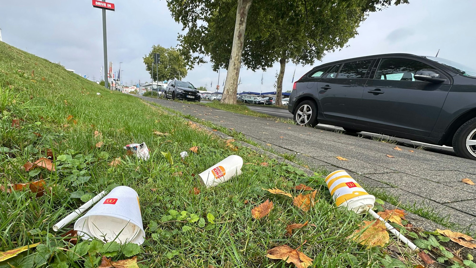 Einwegverpackungen werden achtlos in die Umwelt geworfen - wie hier an der Einsteinstraße in Sankt Augustin.