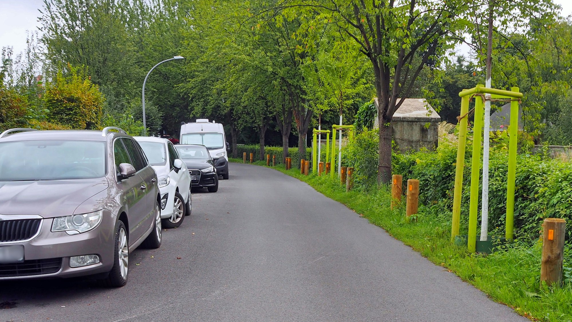 In der Sinziger Straße in Raderthal soll ein Ortstermin mit Bezirksvertretern und Fachverwaltung stattfinden, um zu schauen, wie die Bäume auf der schmalen Straße besser geschützt und wie sie für Schulkinder sicherer gemacht werden kann.