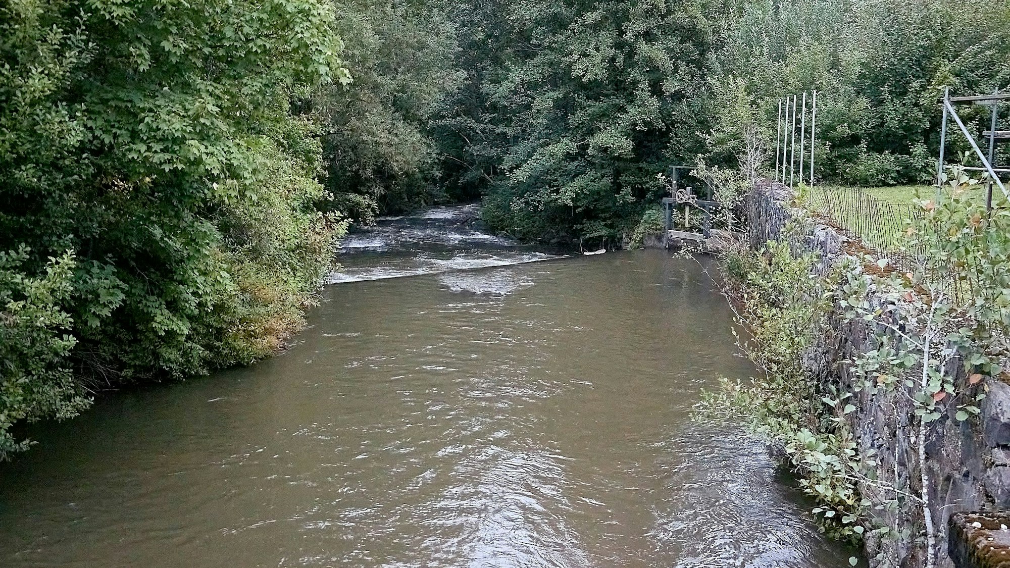Der Fluss führt viel Wasser.