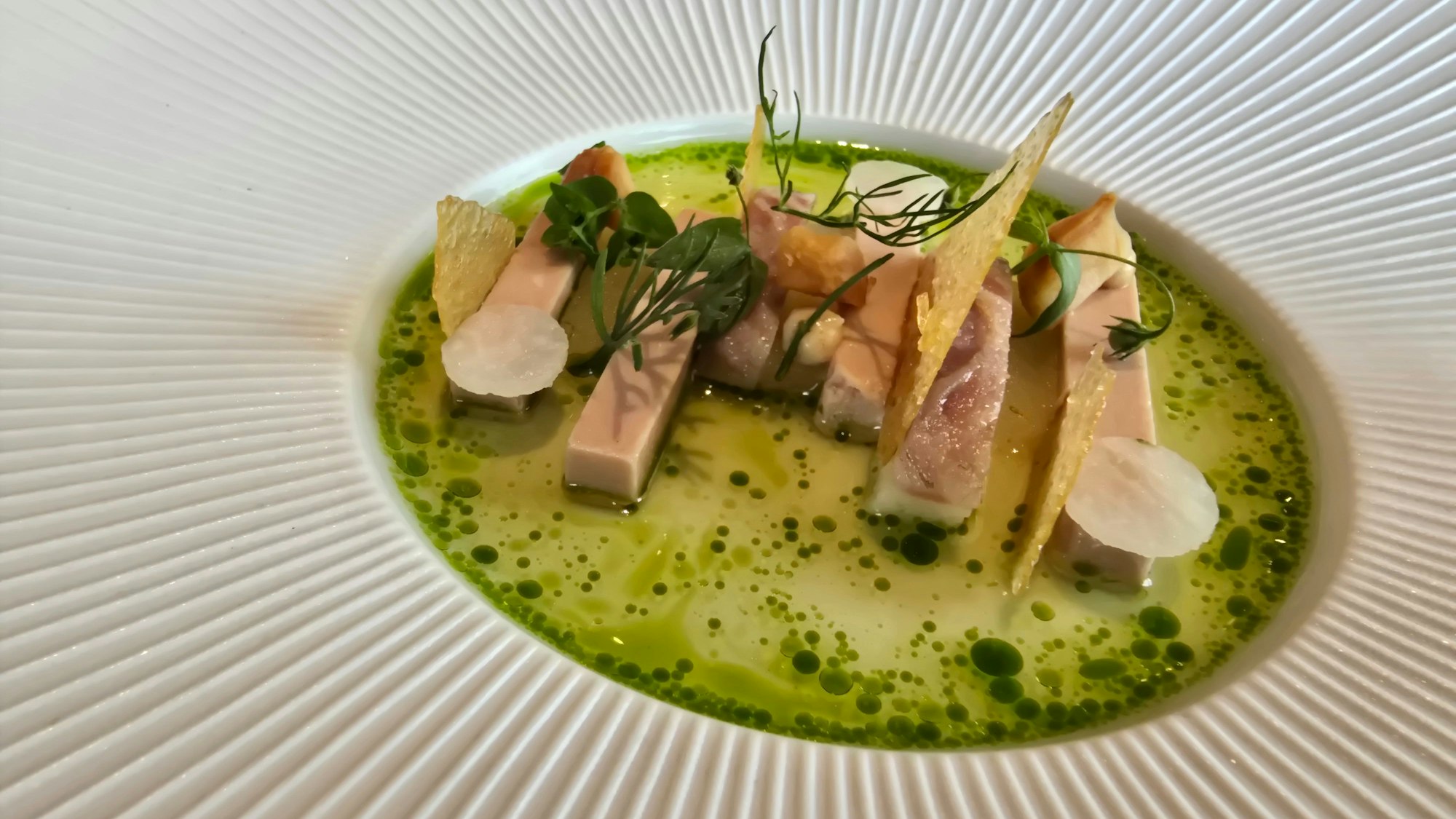 Tellergericht ist zu sehen, die Zutaten Aal und Gänseleber fein angerichtet auf einem transparent grünen Saucenspiegel.