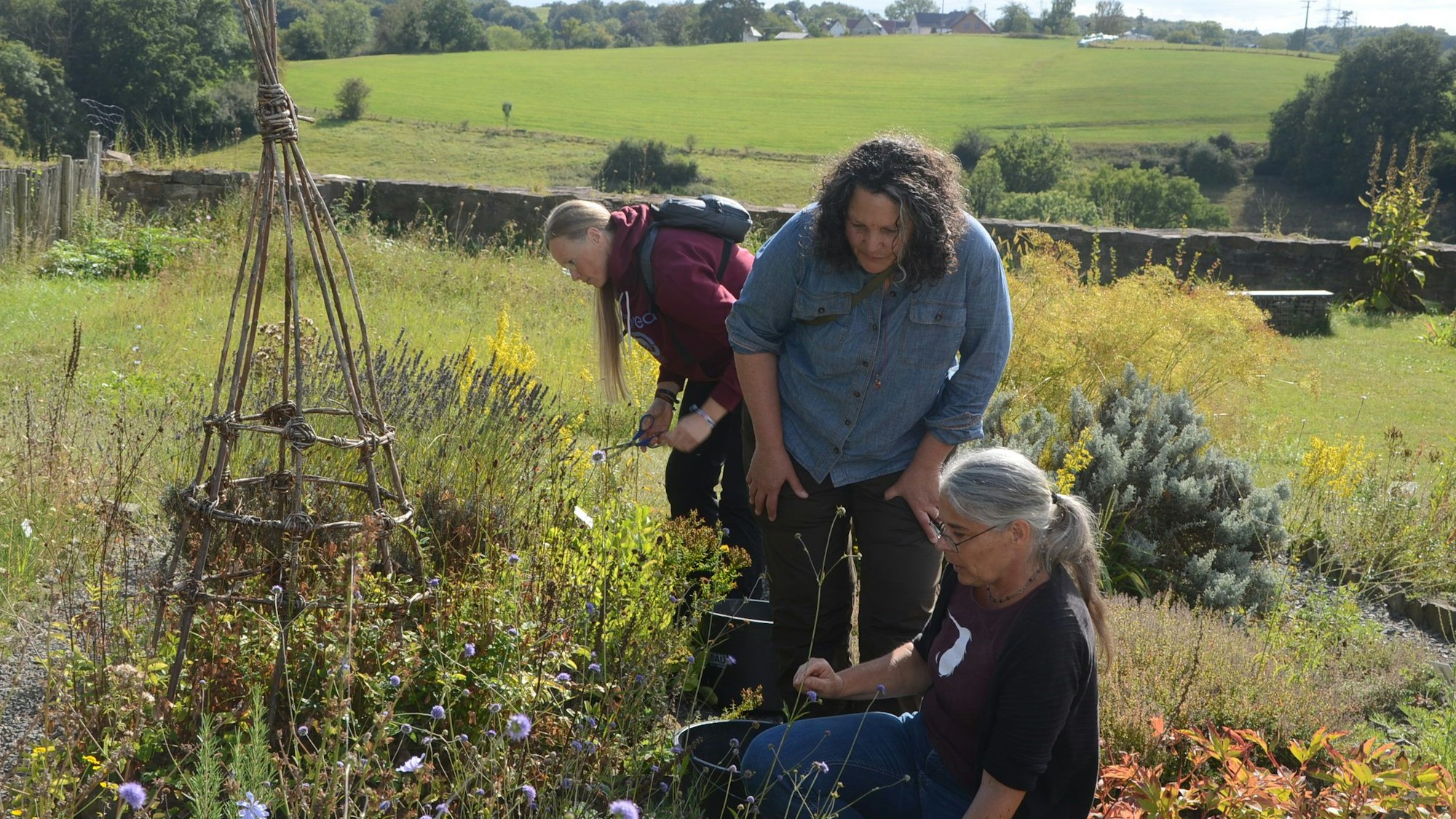 Drei Frauen arbeiten in einem Garten.