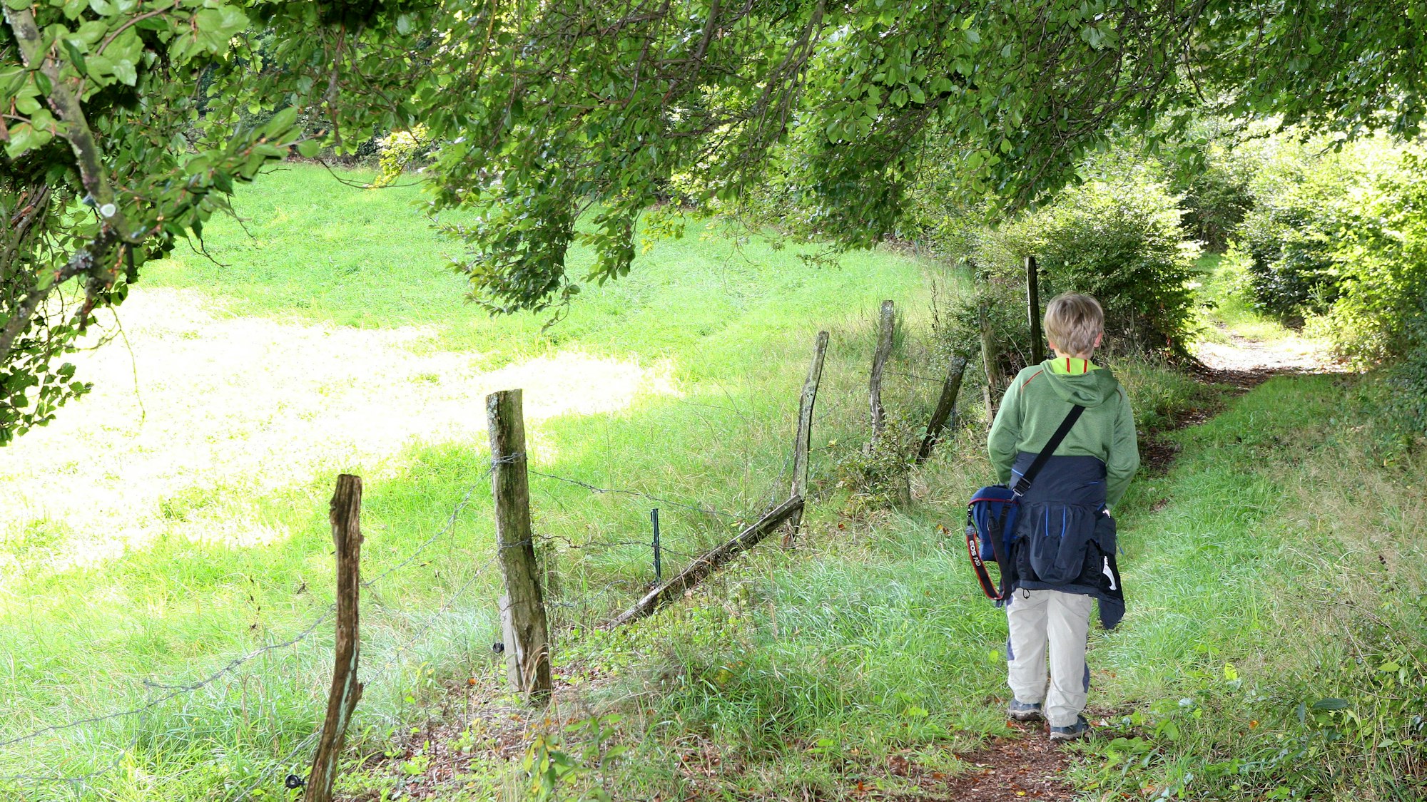 Ein Kind geht einen Wiesenweg an einer Weide entlang.