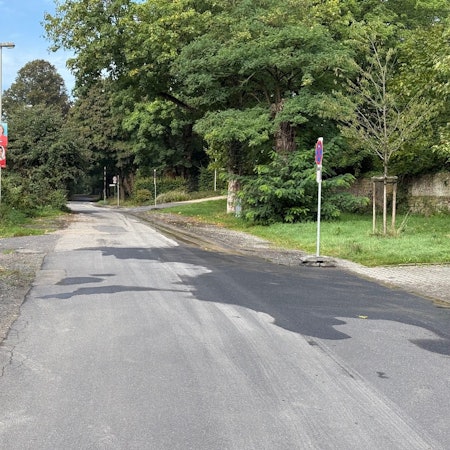 Auf dem Bild ist eine Straße mit Halteverbotsschildern zu sehen.