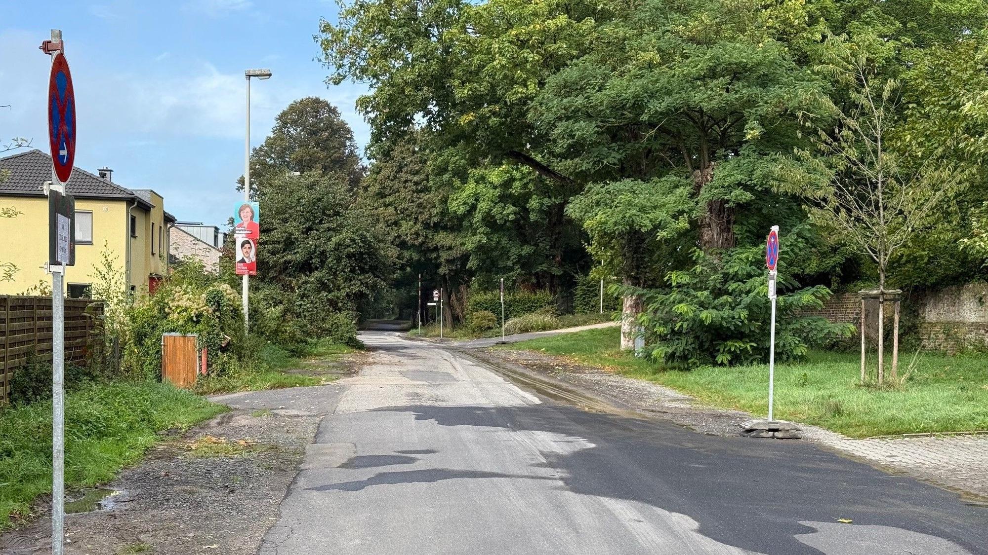 Auf dem Bild ist eine Straße mit Halteverbotsschildern zu sehen.