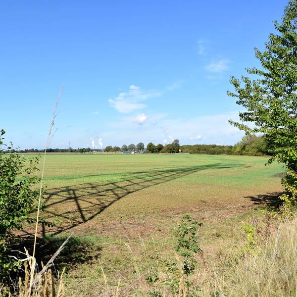 Das Bild zeigt ein Feld, ein Strommast wirft seinen Schatten darauf.