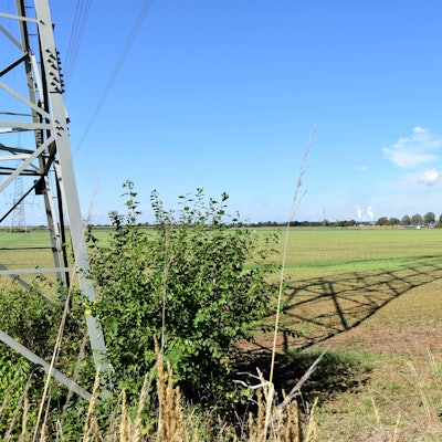 Das Bild zeigt ein Feld, ein Strommast wirft seinen Schatten darauf.