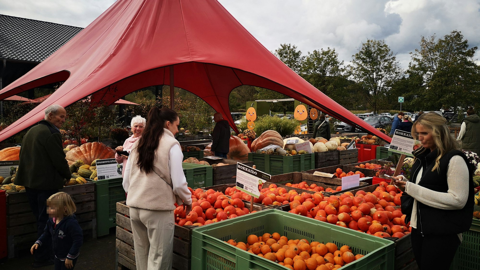 Auf dem Krewelshof in Lohmar kann man durchs Maislabyrinth schlendern und die Kürbisschau besuchen.