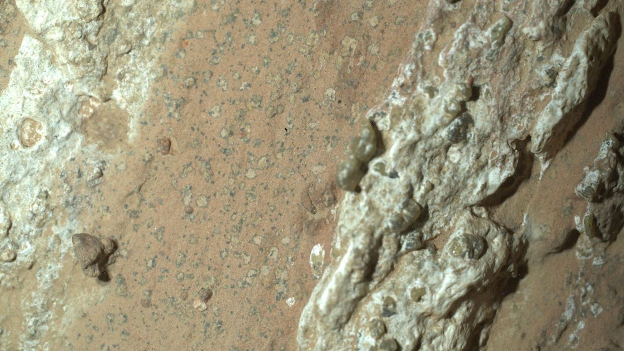 Dieses von der Nasa zur Verfügung gestellte Bild zeigt eine vom Nasa-Rover „Perseverance“ im vergangenen Jahr auf dem Mars entnommene Gesteinsprobe.