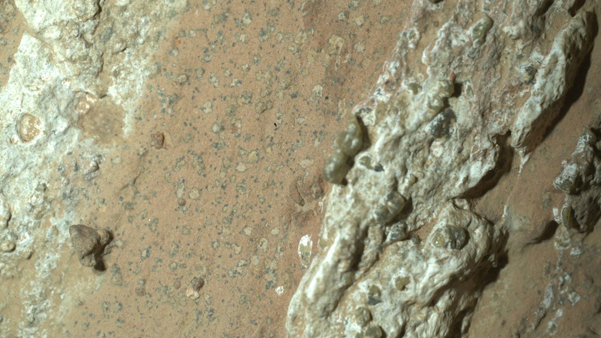 Dieses von der Nasa zur Verfügung gestellte Bild zeigt eine vom Nasa-Rover „Perseverance“ im vergangenen Jahr auf dem Mars entnommene Gesteinsprobe.