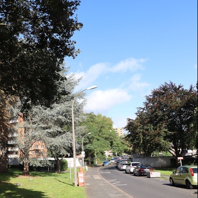 Zu sehen ist der Kastanienweg.