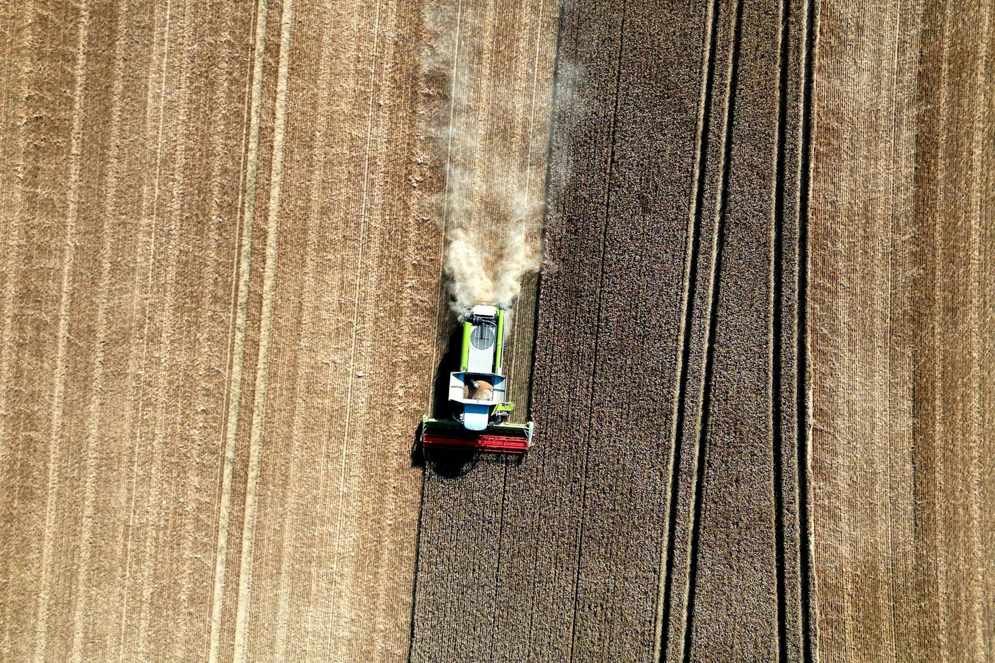 Das Sommerwetter sicherte den Landwirten im Juli eine trockene Einfuhr des Getreides. (Archivbild)