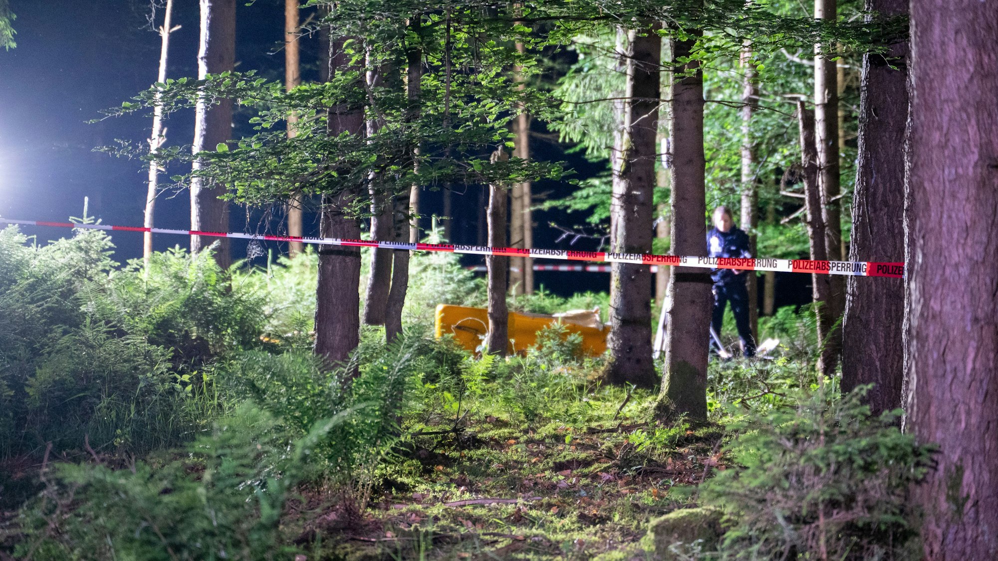 Eine Absperrung der Polizei nach dem Absturz eines Leichtflugzeugs in einem Waldstück (Symbolfoto).