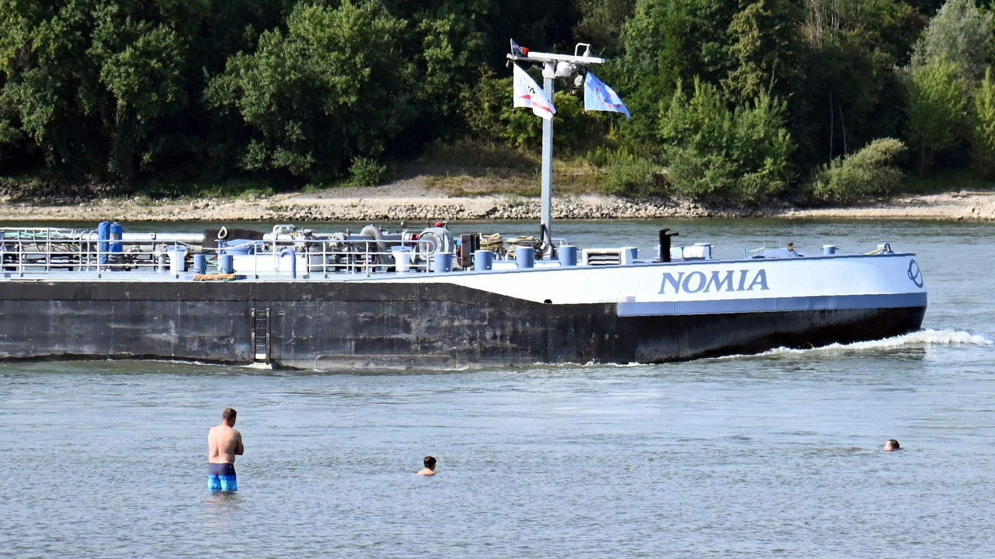 Mitte August: In Rodenkichen schwimmen Menschen im Rhein.