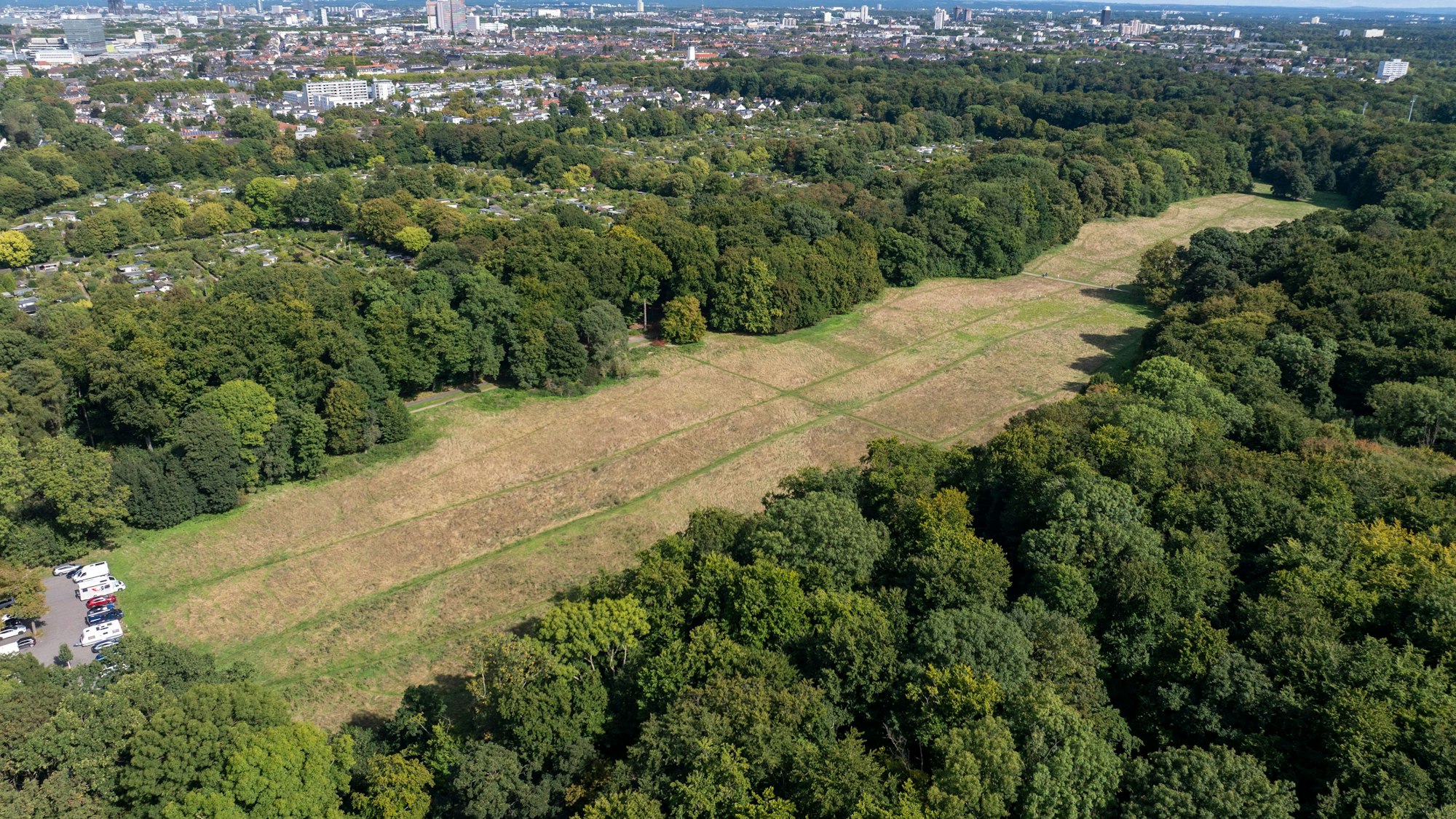 06.09.2025, Köln: Blick auf die Gleueler Wiese. Luftbild mit Drohne. Foto: Uwe Weiser