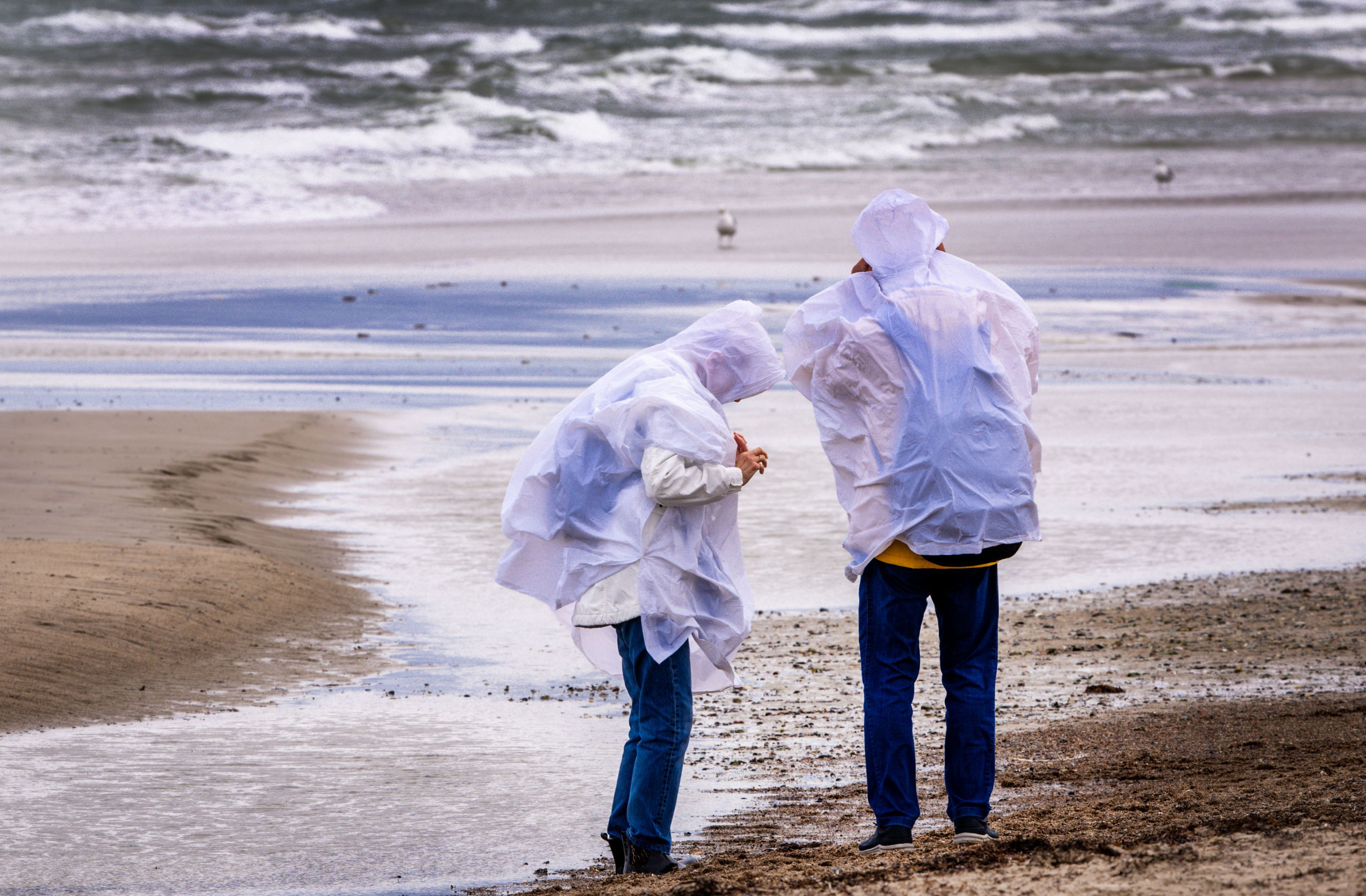 Spaziergänger mit Regenschutz suchen bei kräftigem Wind am Ostseestrand von Warnemünde nach Bernstein.