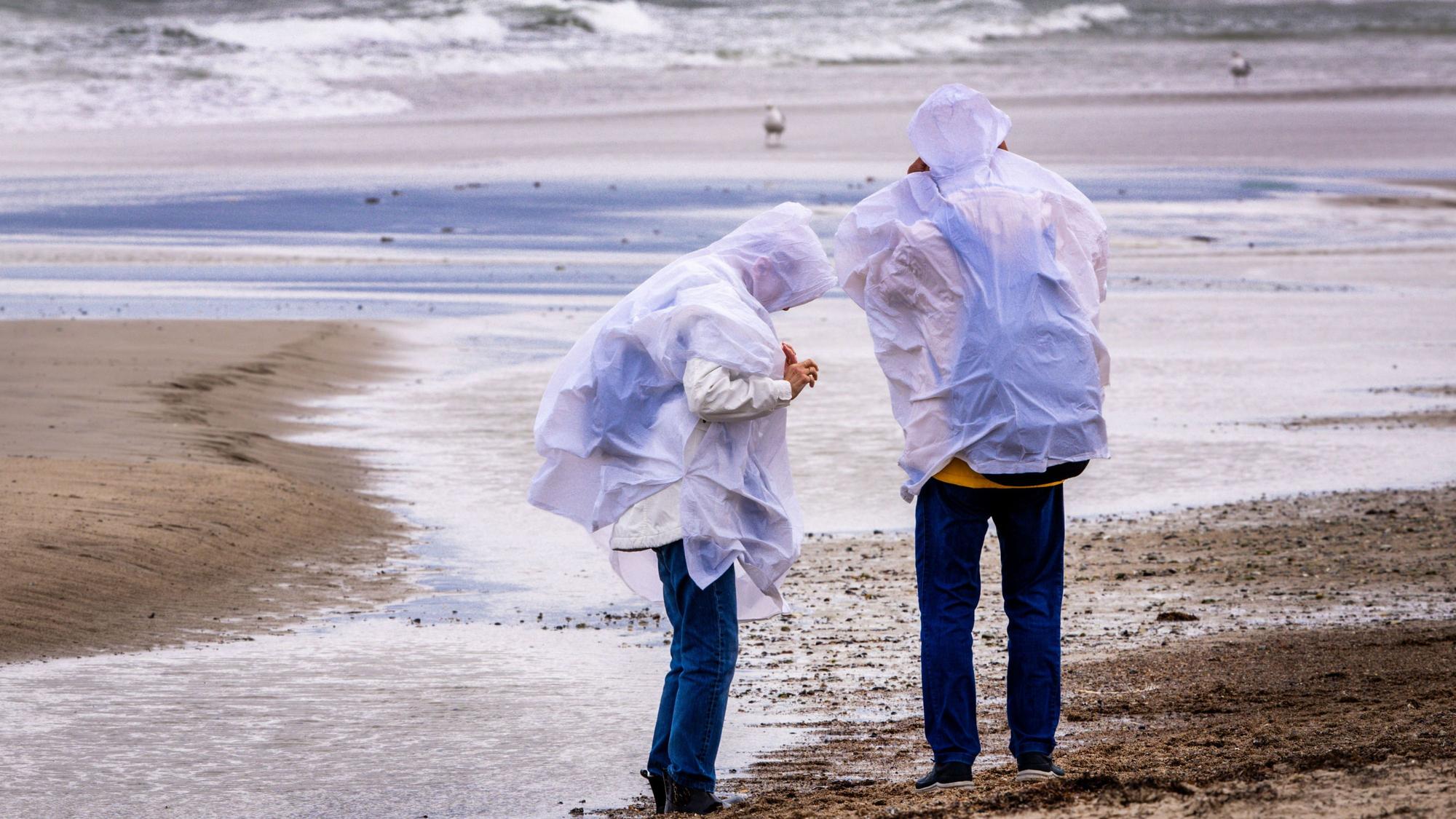 Spaziergänger mit Regenschutz suchen bei kräftigem Wind am Ostseestrand von Warnemünde nach Bernstein.