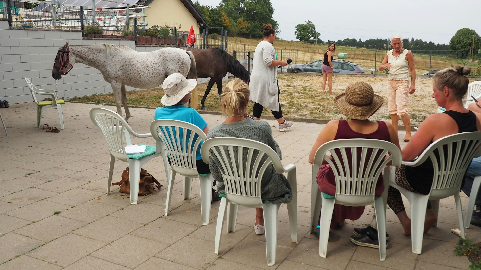 Vier Frauen sitzen im Halbkreis, davor agieren zwei Pferde und drei weitere Frauen.