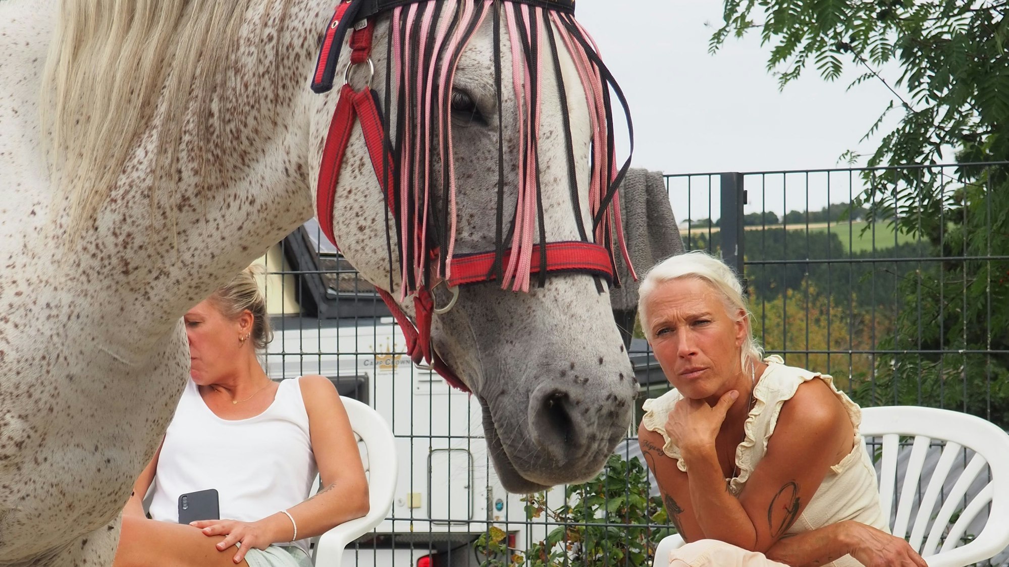 Konzentriert beobachtet Fee Fontier, was die Lehrgangsteilnehmer machen. Das Pferd im Vordergrund scheint eher desinteressiert.