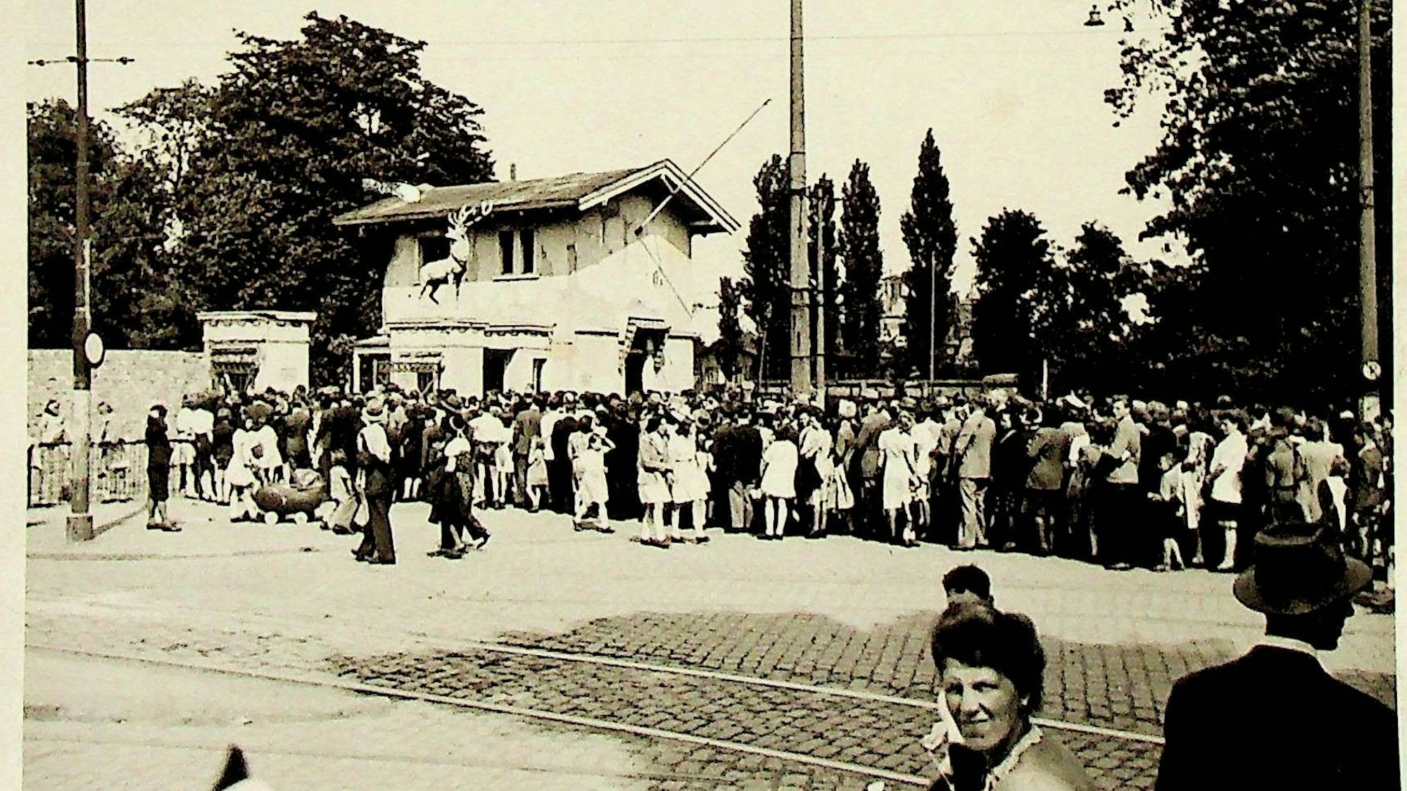 Besucherschlange vor dem Kölner Zoo 1947