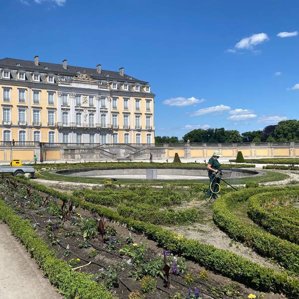 Zu sehen ist Schloss Augustusburg in Brühl.