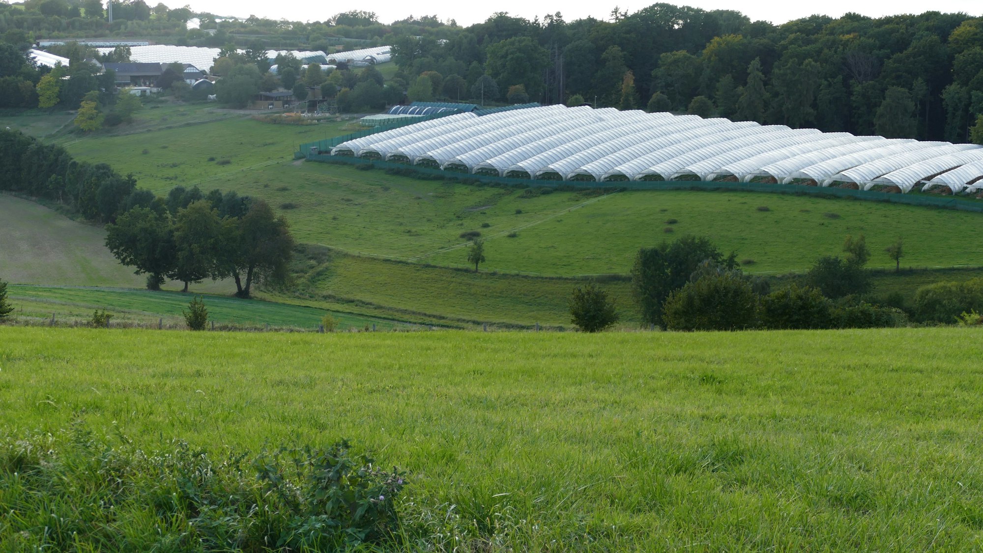 Ein Blick auf die Hügel am Hartenberg, zwischen denen unten der Bach entlangfließt.