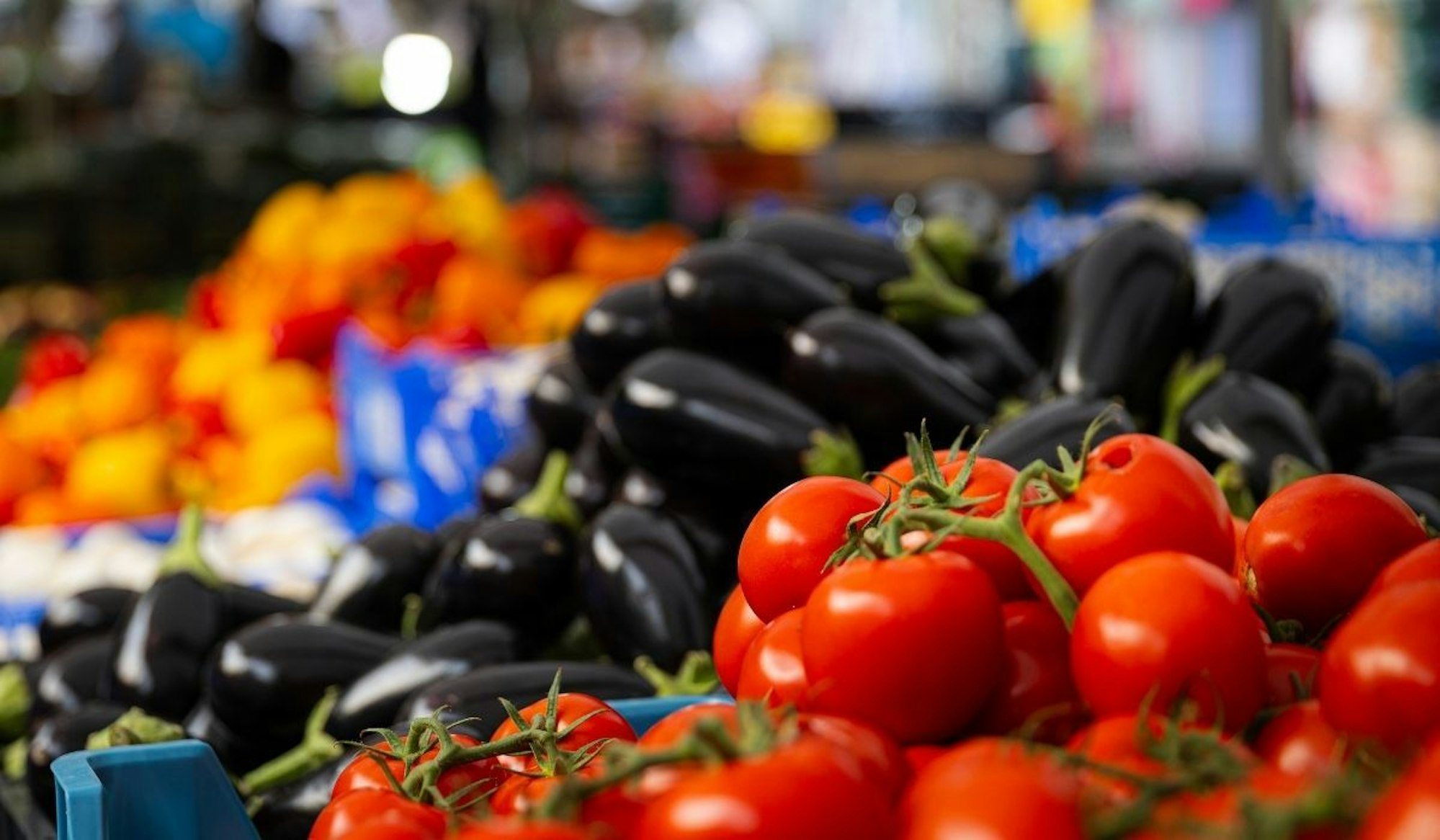 Frisch, regional und saisonal ist die große Auswahl an Früchten und Gemüse auf dem Wochenmarkt.