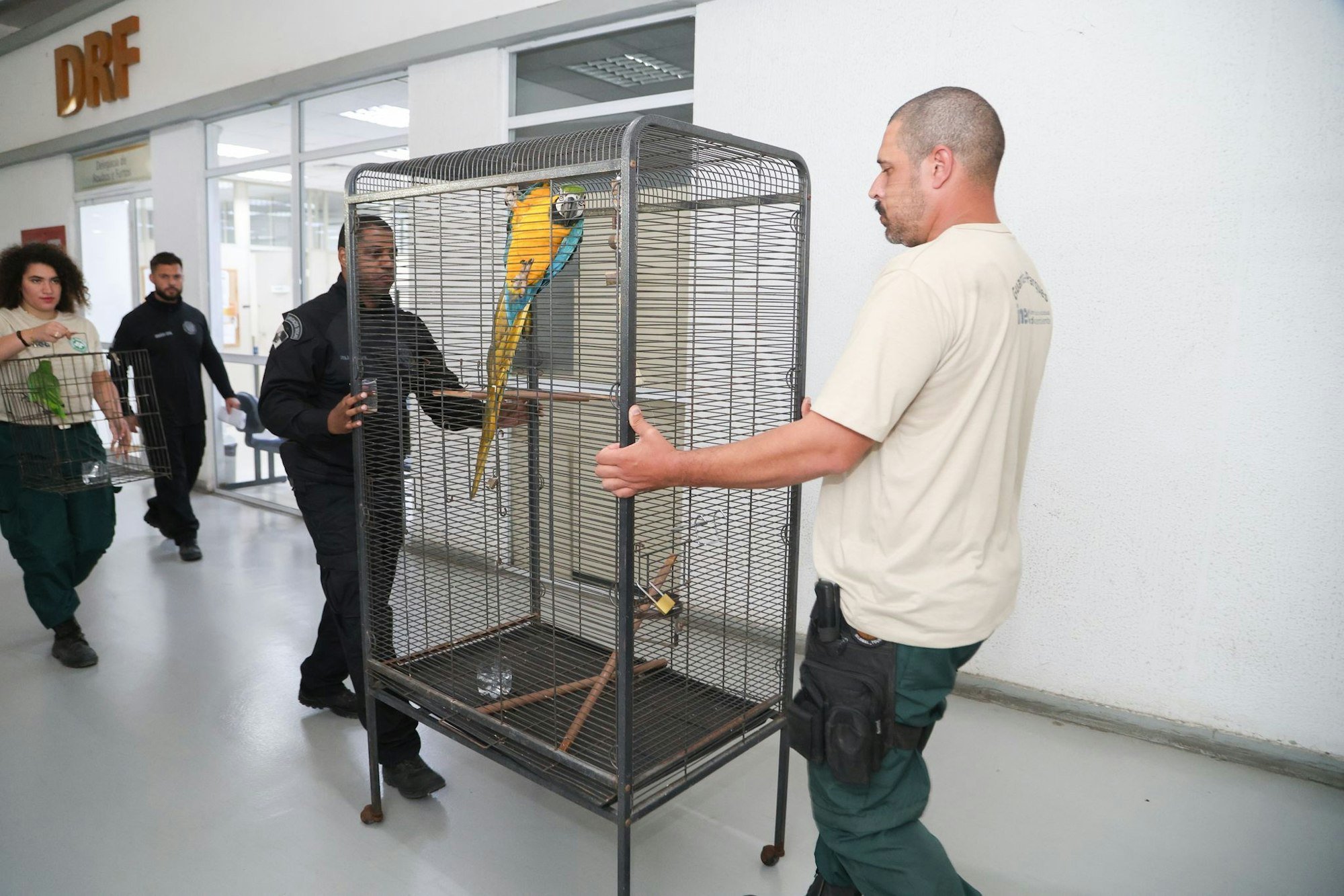 Laut Polizei bringt der Tierhandel der organisierten Kriminalität Millionen ein.